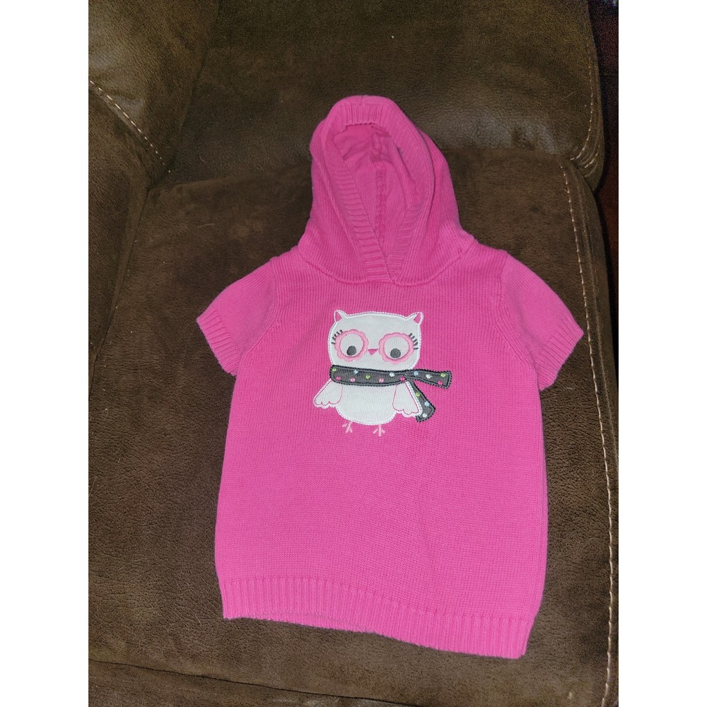 Crazy 8 fall owl hooded sweater size 2t